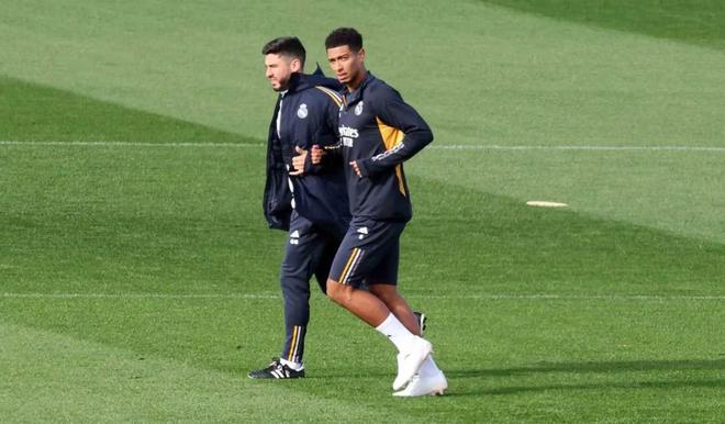 更加成熟的 更加成熟的